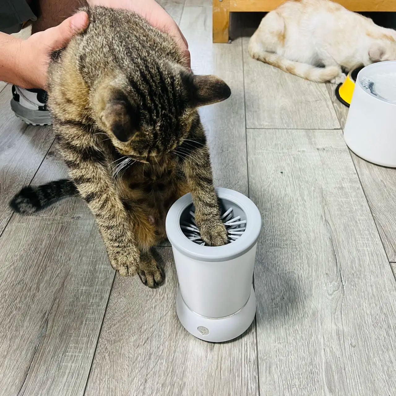 Portable Pet Automatic Foot Washing Cup